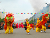 濰坊最好的舞獅隊(duì)的開業(yè)典禮
